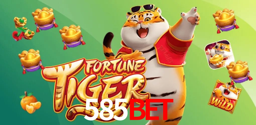 Experiência VIP 585BET